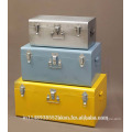 Industrial Metallic Storage Trunk